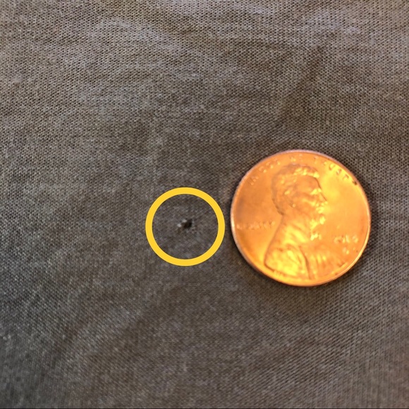 The Limited Halter Top - Rouched Neck - Picture 11 of 12